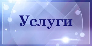 Услуги БелТрастинфо